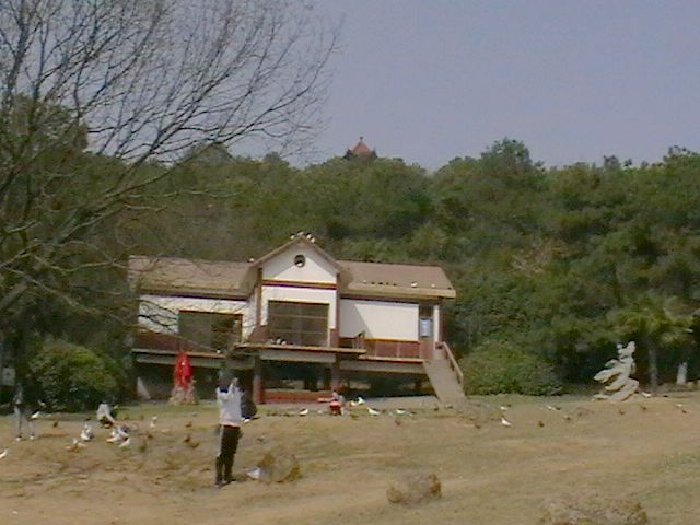 imga0647.jpg