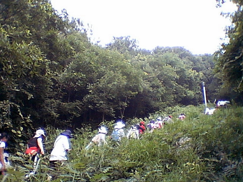 imga7249.jpg