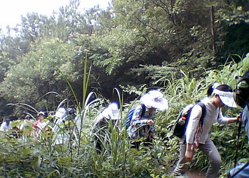 imga7250.jpg