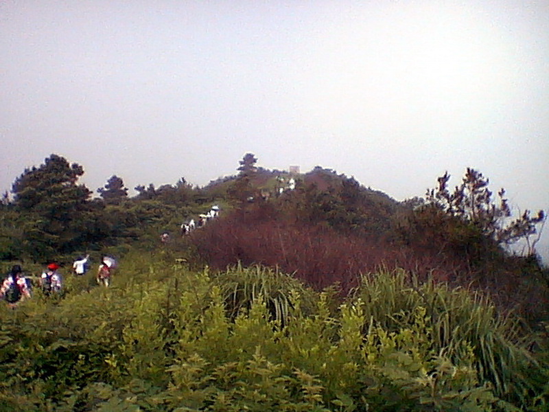 imga7255.jpg