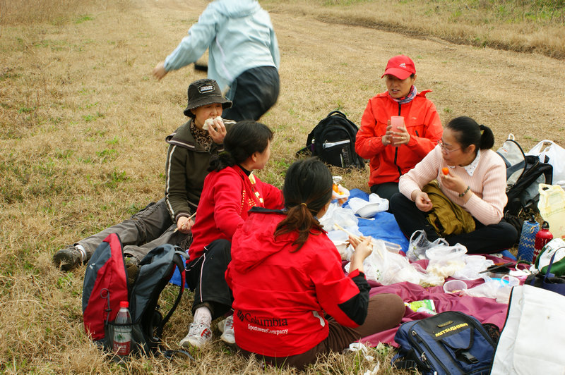 dsc03196.jpg