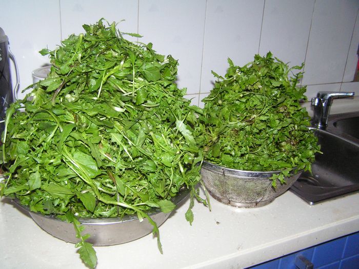 pict0001.jpg