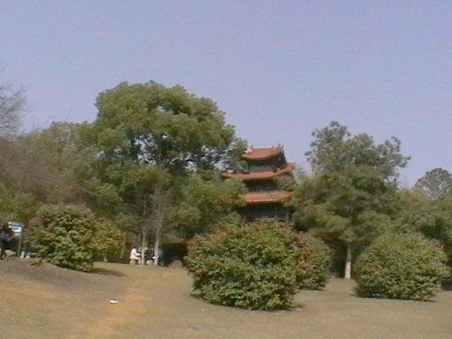 imga0645.jpg