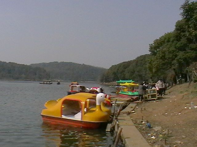 imga0606.jpg