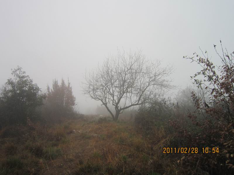 ϸߴ 012.jpg