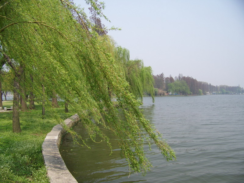 20084131910221.jpg