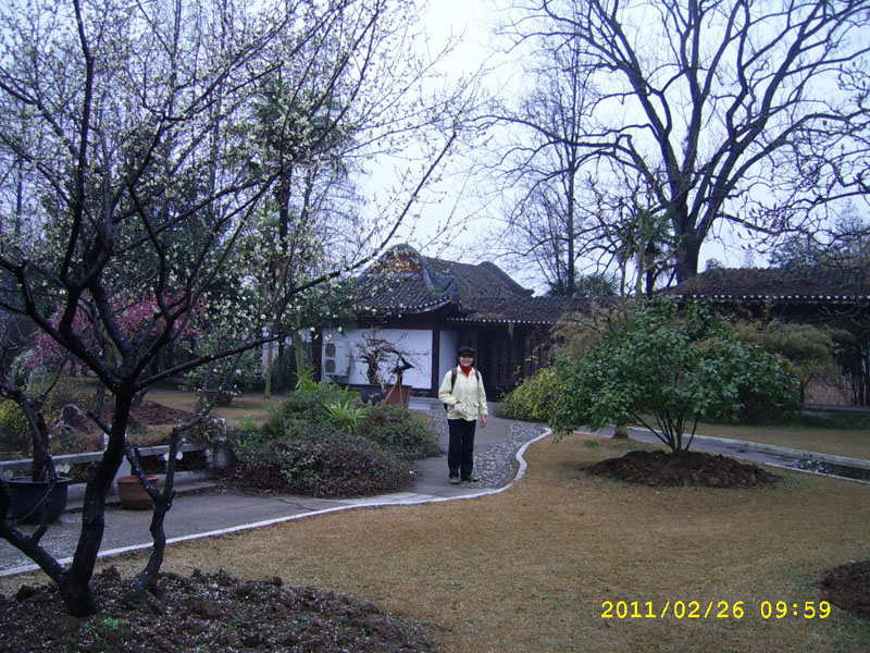 ssa40058.jpg