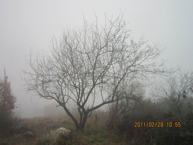 ϸߴ 013.jpg