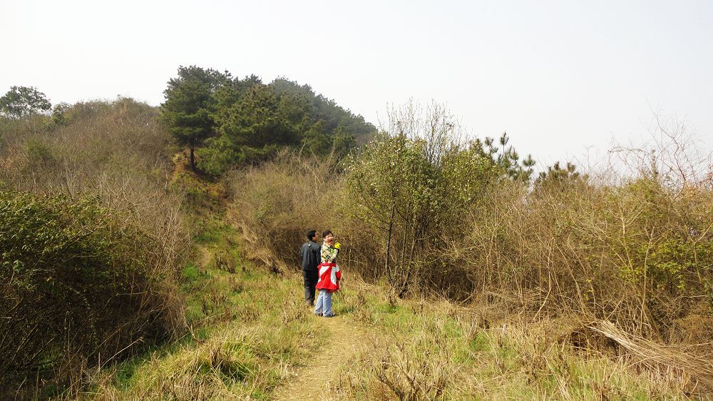 neo_img_dsc02044.jpg