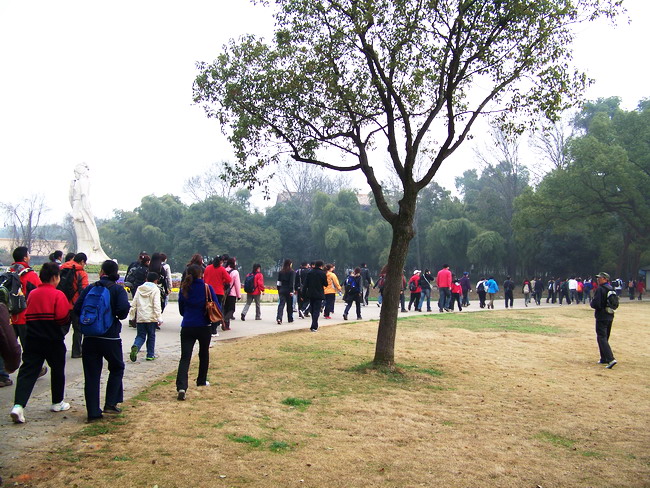 100_9251.jpg
