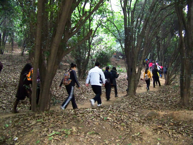 100_9255.jpg