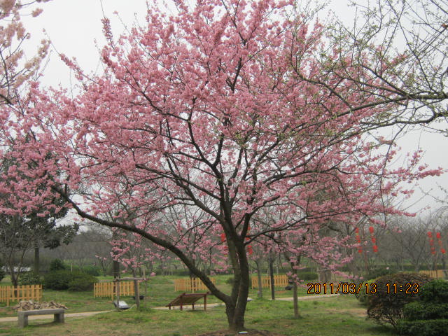 img_1584.jpg