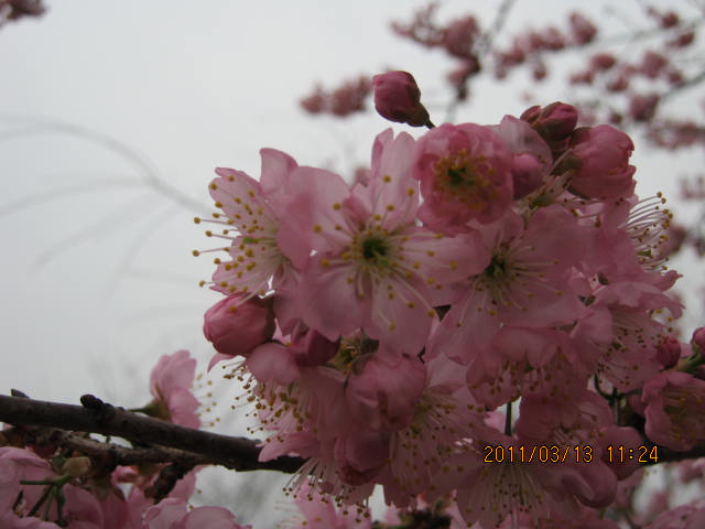 img_1586.jpg