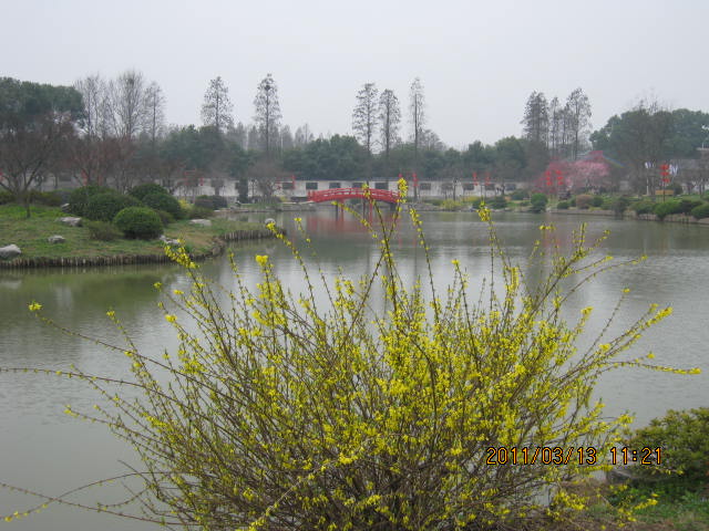 img_1581.jpg