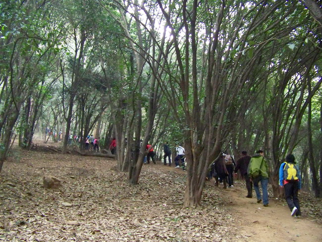 100_9258.jpg