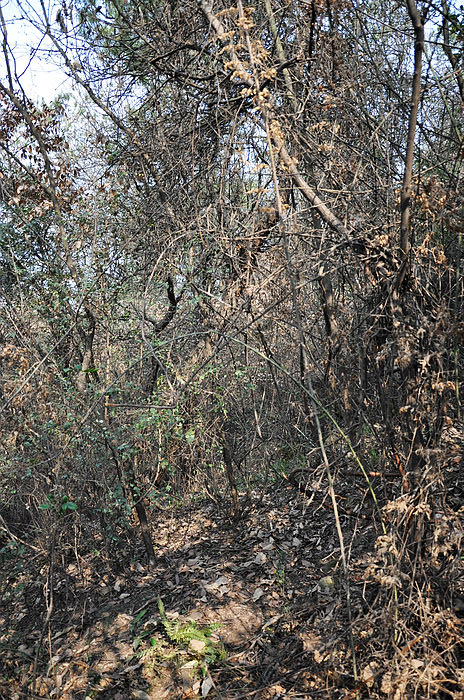 dsc_1216.jpg