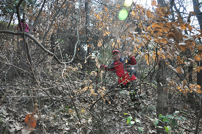 dsc_1218.jpg