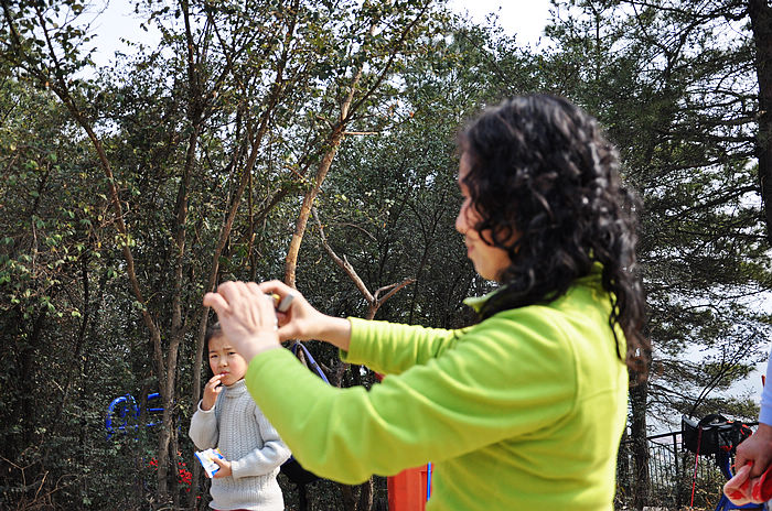 dsc_1226.jpg
