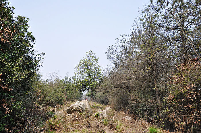 dsc_1252.jpg