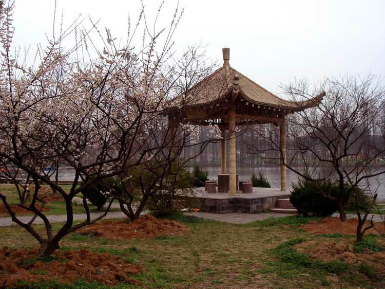 dsc07044fu.jpg