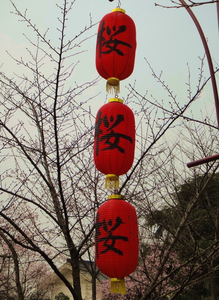dsc04660.jpg