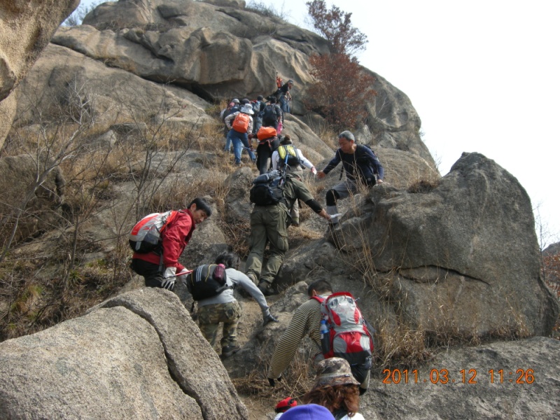 dscn3480.jpg