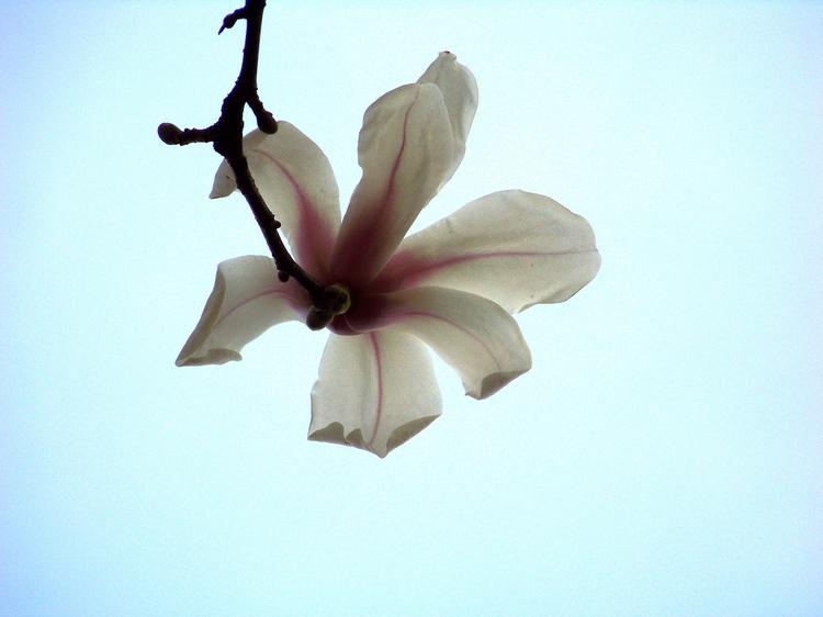 20110310÷԰f (15).jpg
