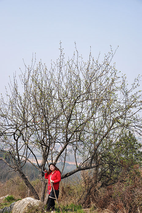 dsc_1320.jpg
