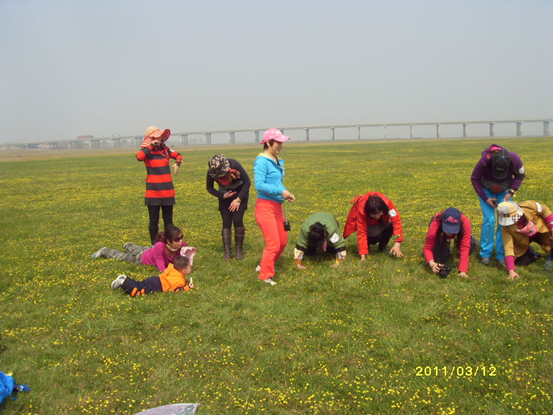 sdc11325_.jpg