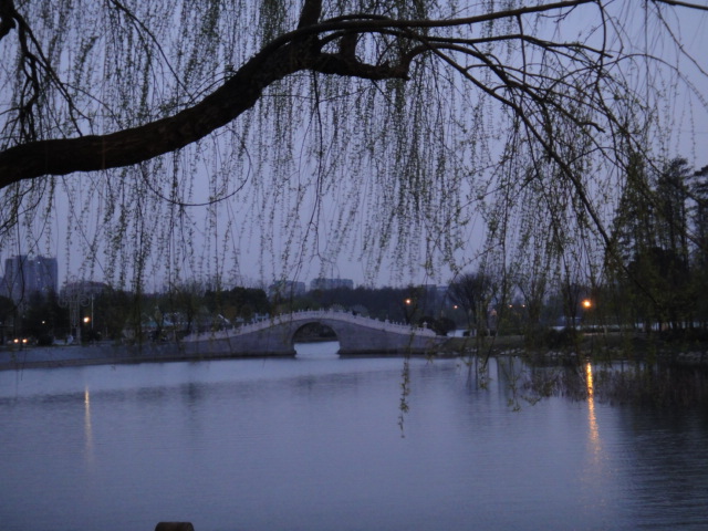 dsc04774.jpg