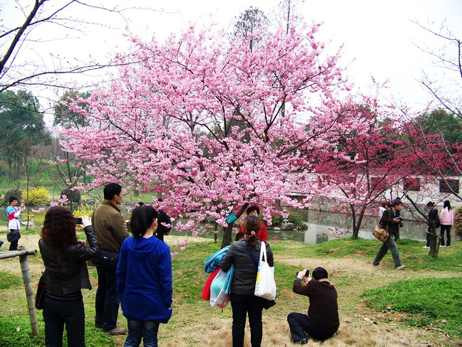 100_9427.jpg