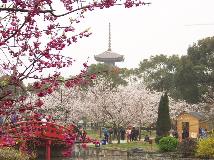 20100320aӣ԰ (18).jpg