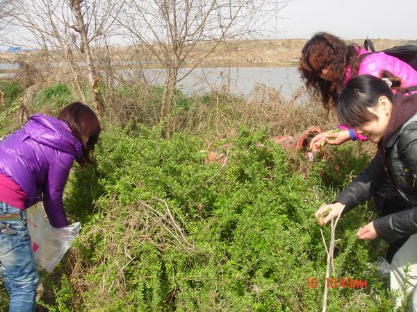 С dsc05276.jpg