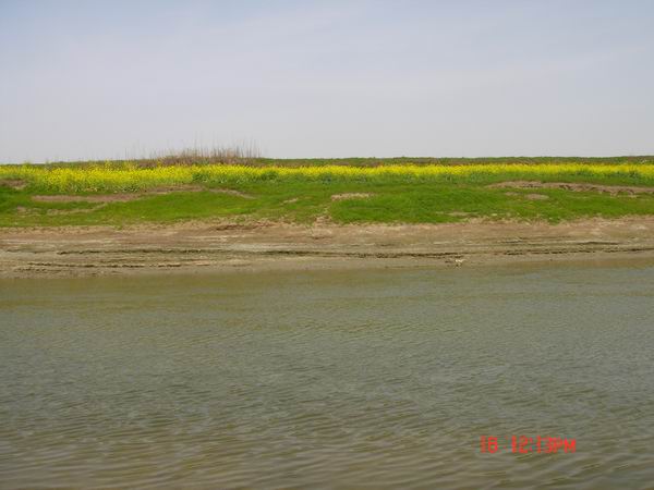 С dsc05306.jpg