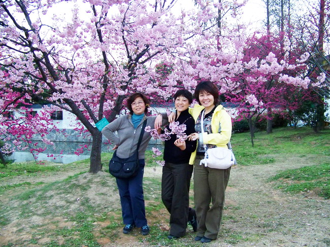 100_9488.jpg