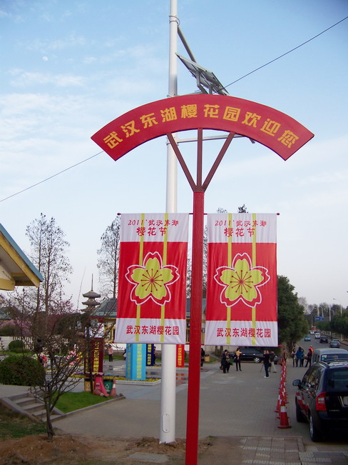 100_9465.jpg