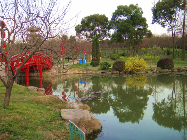 dsc04832.jpg
