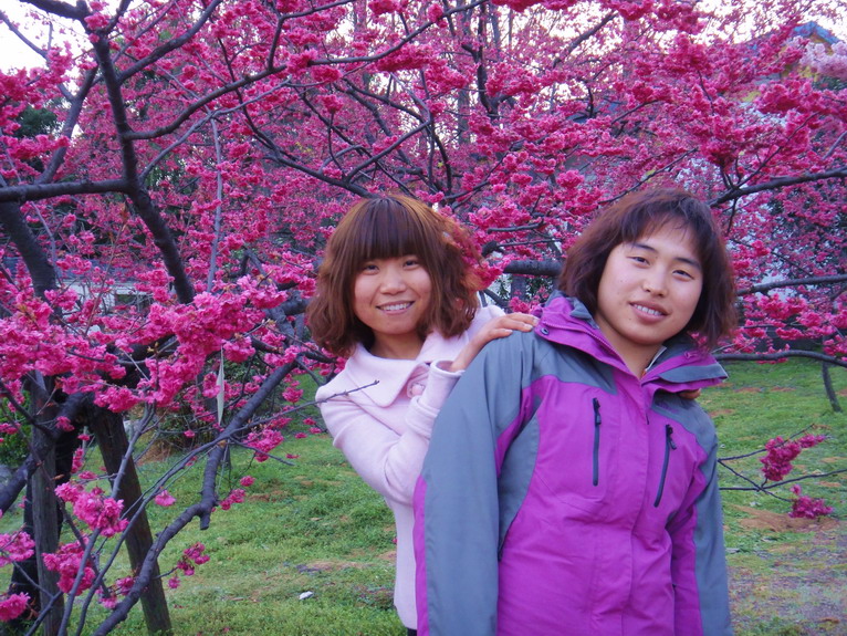 dsc04880.jpg
