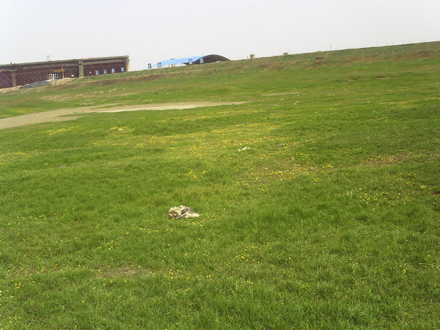 pict0020.jpg