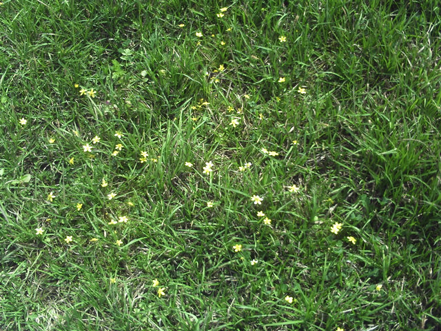 pict0021.jpg