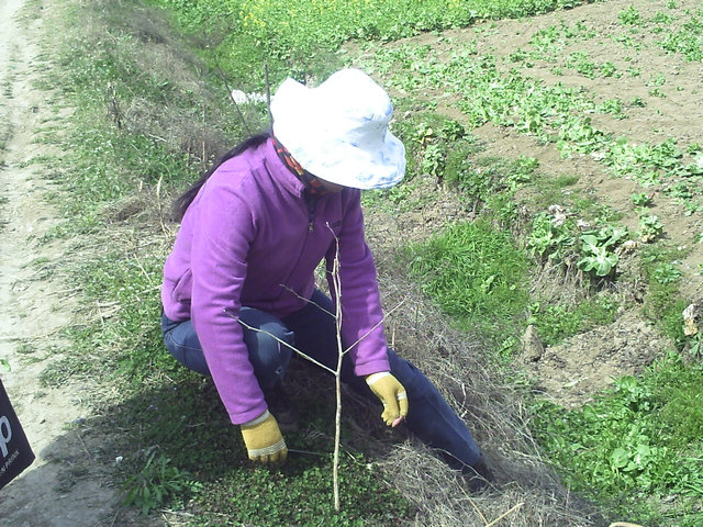 pict0043.jpg