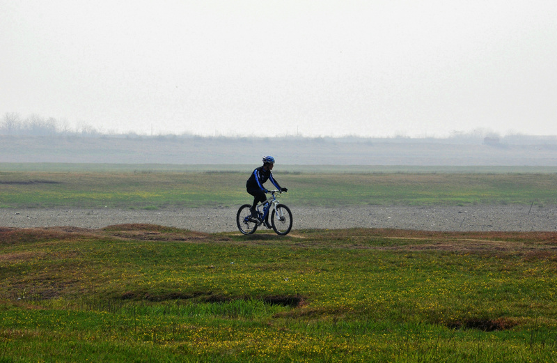 dsc_1375_.jpg