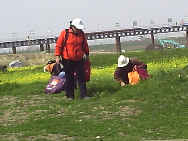 pict0006.jpg