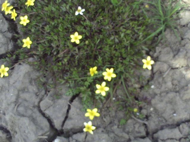 pict0003.jpg