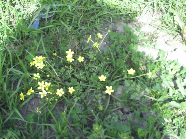 pict0004.jpg