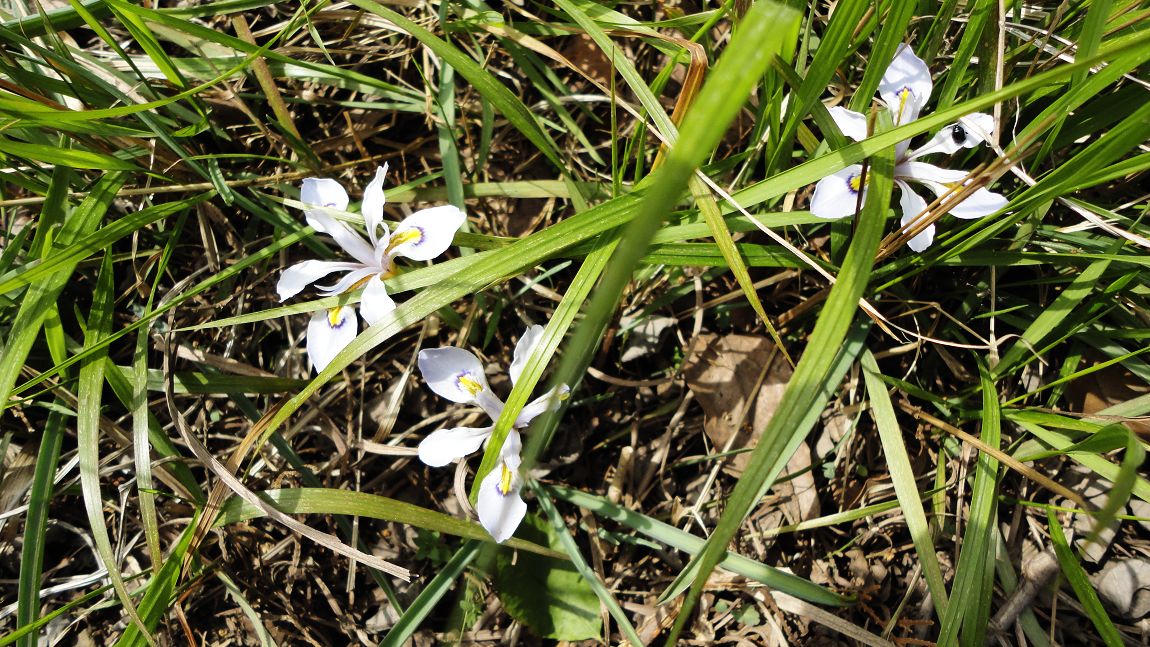 neo_img_dsc02305.jpg