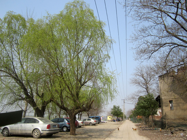 img_8495.jpg