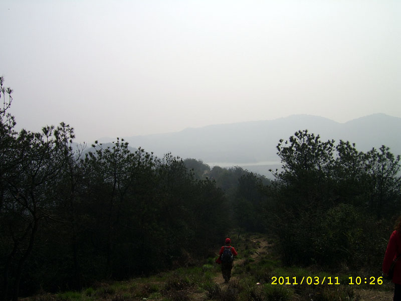 ssa40022.jpg