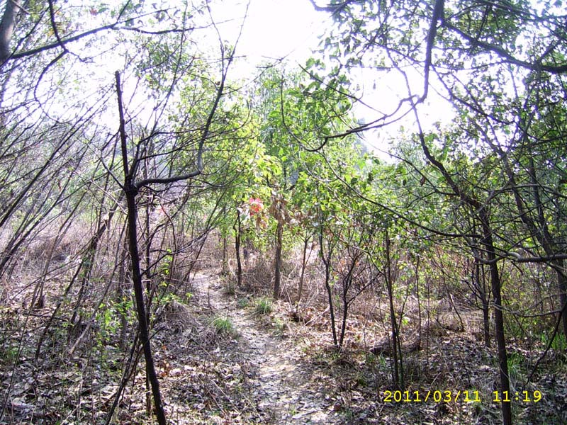 ssa40067.jpg