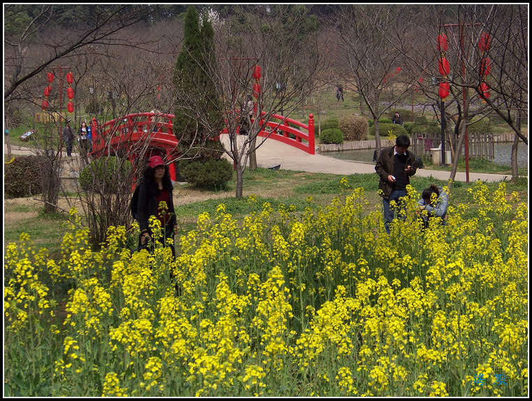 2011��0317n����ĥɽӣ԰ (29).jpg